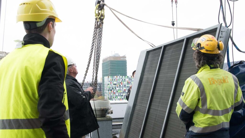 Blygold: zichtbaar zijn waar bijna niemand zoekt
