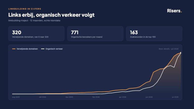 Groei van verwijzende domeinen en organisch verkeer tijdens een linkbuilding-traject van 12 maanden